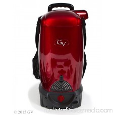 GV 8 Qt. Commercial Pro Cordless Battery Powered HEPA Backpack Back Pack Vacuum 564027902